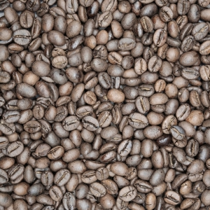 NĂNG LƯỢNG 1 - ROBUSTA 100% - PREMIUM